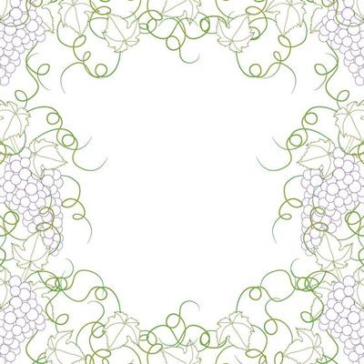 Colorful Line Grape Frame Vine on White Background