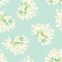 Snow White Agapanthus on Green Mint Background. vector