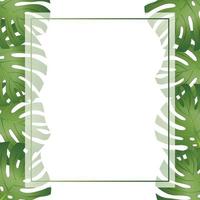 Philodendron Monstera Leaf Banner Card Border vector