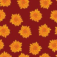 Yellow Chrysanthemum on Red Background vector