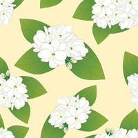 Arabian Jasmine on Yellow Ivory Background. Vector Illustration