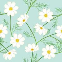 White Cosmos Flower on Green Mint Background. Vector Illustration