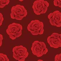 Red Rose on Red Background vector