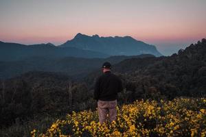 vista a la montaña y flores amarillas en la noche foto