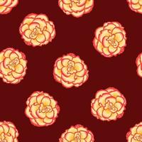 flor de begonia, picotee sunburst sobre fondo rojo. vector