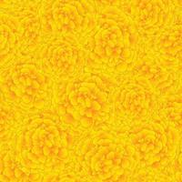 Yellow Marigold Seamless Background. vector