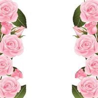 Pink Rose Flower Frame Border vector