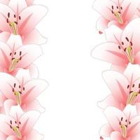 Pink Lily Flower Border isolated on White Background vector