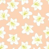 White Lily on Orange Peach Background vector