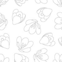 Crocus Outline on White Background vector