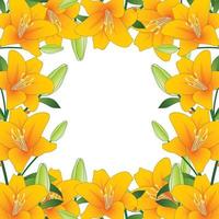 Orange Lily Border on White Background2 vector