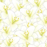 White Lily Flower Seamless Background vector