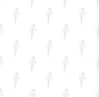 Tulips on White Background vector