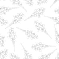 Iris Flower Seamless Outline on White Background vector