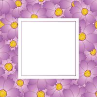 tarjeta de banner de flor de cosmos rosa vector