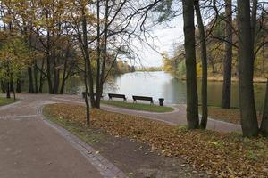 Autumn in city park. Colorful leaves in sun light. Empty bench near the tree. photo