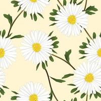 White Aster Flower on Ivory Beige Background. Vector Illustration