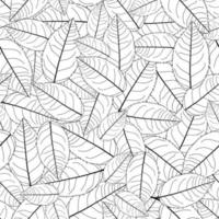 Camellia Leaves Outline on White Background vector