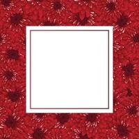 Red Chrysanthemum Banner Card vector