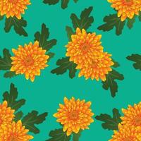 Yellow Chrysanthemum on Green Teal Background. Vector Illustration