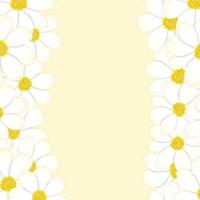 White Cosmos Flower Border vector