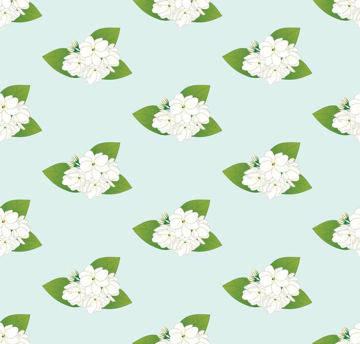 Arabian Jasmine Vector Art, Icons, and Graphics for Free Download