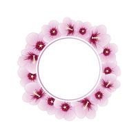 hibiscus syriacus - corona de pancarta rosa de sharon vector