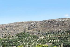 árboles en las colinas colinas de piedra en la isla de creta. foto