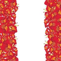 Red Canna lily Border vector