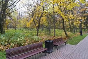 Autumn in city park. Colorful leaves in sun light. Empty bench near the tree. photo