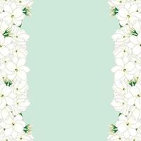 Arabian jasmine Border on Green Mint Background vector