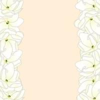 Arabian Jasmine Border vector