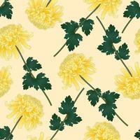 Yellow Chrysanthemum Flower on Beige Ivory Background vector