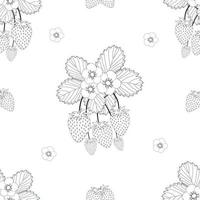 Strawberry and Flower Outline on White Background vector