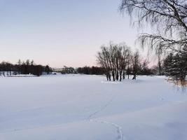 Catherine Park in Pushkin on a winter day photo