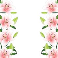 Pink Lily Border on White Background vector