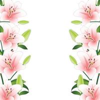 Pink Lily Border on White Background vector