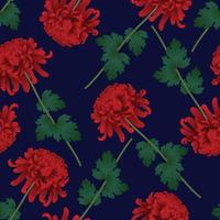Red Chrysanthemum Flower on Navy Blue Background
