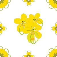 Cassia Fistula - Gloden Shower Flower Background2 vector