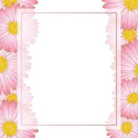 aster rosa, borde de tarjeta de banner de flor de margarita vector
