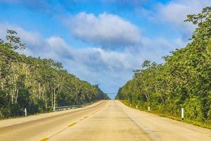 Driving on highway freeway motorway in jungle tropical nature Mexico. photo