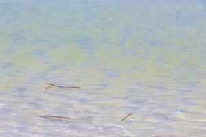 Texture of clear sandbank water Holbox island beach in Mexico. photo