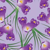 Purple Crocus Flower on Light Violet Background vector