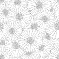 Aster, Daisy Flower Outline Seamless Background vector