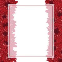Red Chrysanthemum Banner Card Border vector