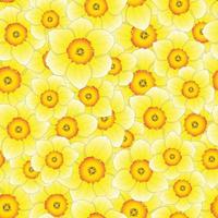 Yellow Daffodil - Narcissus Seamless Background vector