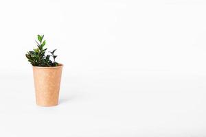 coffee cup of reusable materials with green twig on white background. zero waste concept. replacement for plastic cups photo