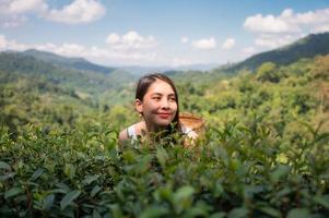 Asian woman carrying basket enjoying in tea plantation on highland photo