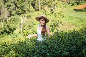 Asian woman in white dress enjoying in groove of tea plantation on highland photo
