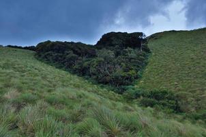 Beauty of western Ghats photo